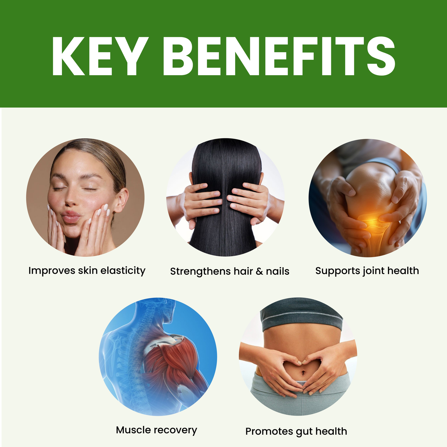 Bovine Collagen Powder